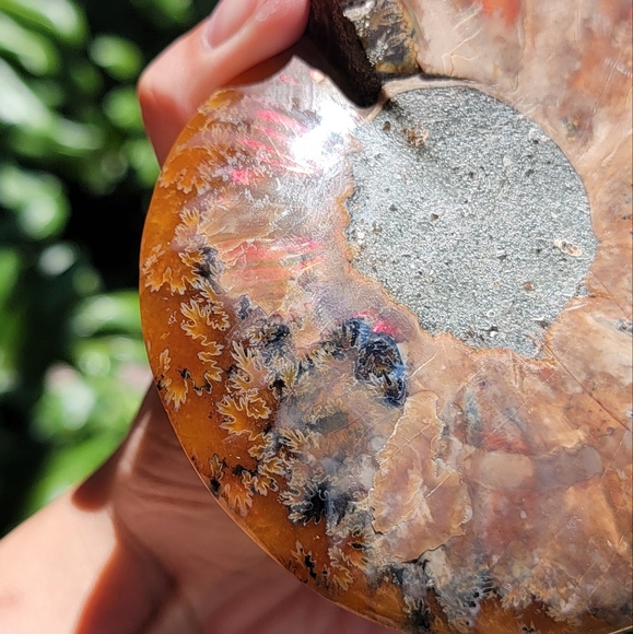 NEW 4.75" x 5.75" MADAGASCAR AGATIZED AMMONITE FOSSIL - Picture 15 of 16